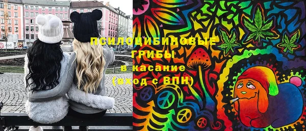 ПСИЛОЦИБИНОВЫЕ ГРИБЫ Абаза