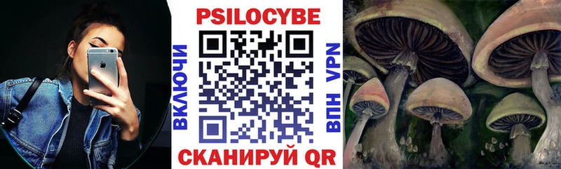 гидра вход  Суздаль  Галлюциногенные грибы прущие грибы 