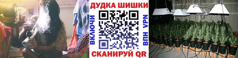 MEGA ONION  купить наркоту  Суздаль  Канабис ГИДРОПОН 